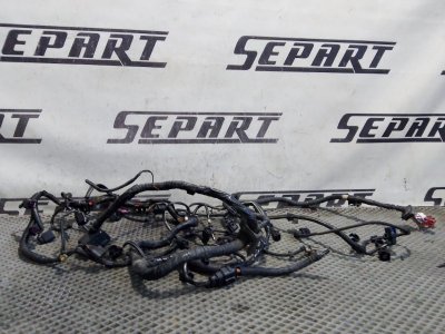 Проводка двигателя Volkswagen Touareg 2006 GP