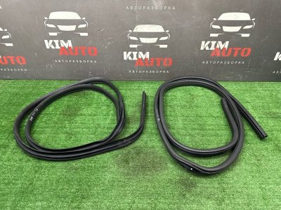 Уплотнитель проема двери Ford Kuga 2013 SUV