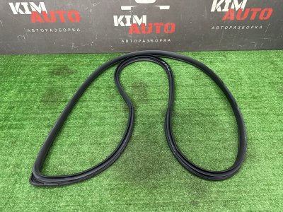 Уплотнитель проема двери Kia Soul 2014 SW