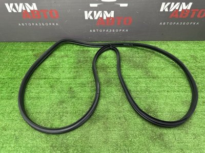 Уплотнитель проема двери Kia Ceed 3 2018 CD