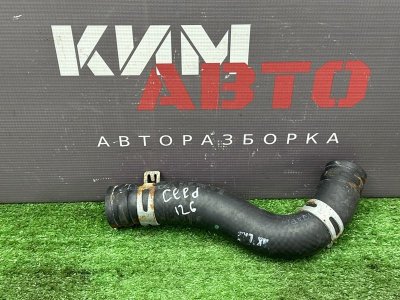 Патрубок радиатора верхний Kia Ceed 3 2018 CD