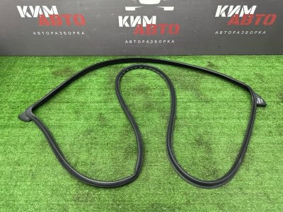 Уплотнитель двери Kia Ceed 3 2018 CD