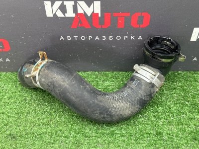 Патрубок радиатора Kia Ceed 3 2018 CD