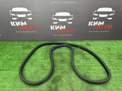 Уплотнитель проема двери Kia Ceed 3 2018 CD
