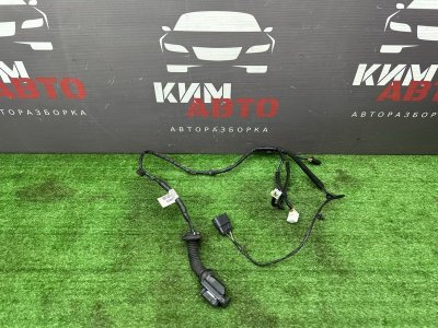 Проводка двери Kia Rio 4 2019 FB