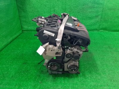 Двигатель VOLKSWAGEN Touran 2005 1T3