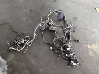 Проводка двигателя Nissan Fuga 2007 Y50