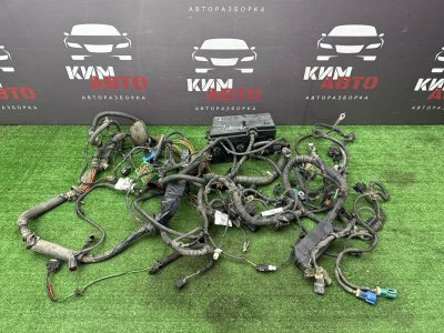 Проводка моторного отсека с блоком предохранителей Ford Focus 2