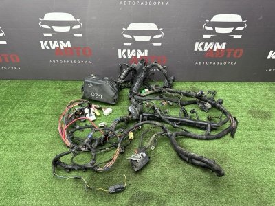 Проводка моторного отсека с блоком предохранителей Hyundai I20