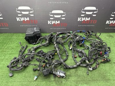 Проводка моторного отсека с блоком предохранителей Hyundai Santa Fe 2