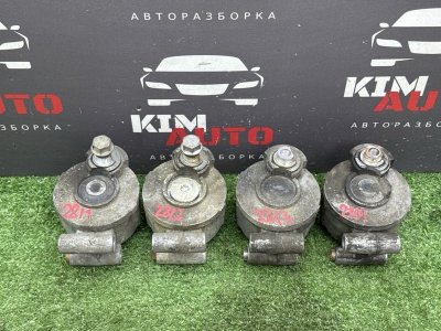 Натяжитель приводного ремня Ford Focus 2