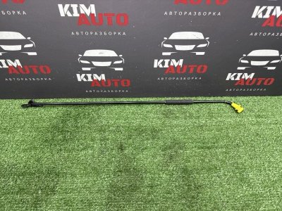 Упор капота Hyundai Creta 2021 GS
