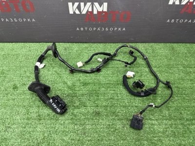 Проводка двери Hyundai Creta 2021 GS