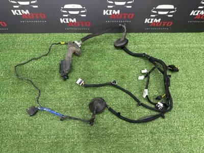 Проводка двери Kia Ceed 3 2021 SW
