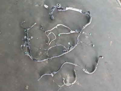 Проводка двигателя Nissan Fuga 2007 Y50