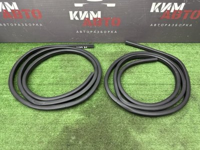 Уплотнитель проема двери Nissan QASHQAI 2016 J11