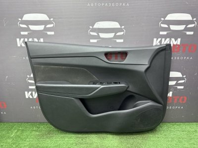Обшивка двери Hyundai Solaris 2 2018 HCR