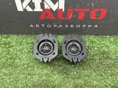 Динамик высокочастотный Nissan QASHQAI 2016 J11