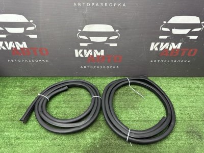 Уплотнитель проема двери Nissan QASHQAI 2016 J11