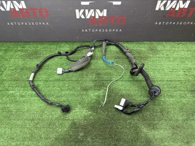 Проводка двери Nissan QASHQAI 2016 J11
