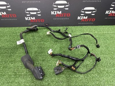 Проводка двери Hyundai Creta 2019 GS