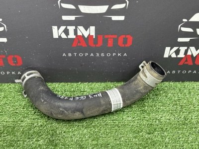 Патрубок радиатора нижний Kia Ceed 3 2021 SW