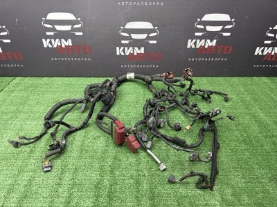 Проводка моторного отсека Nissan QASHQAI 2016 J11