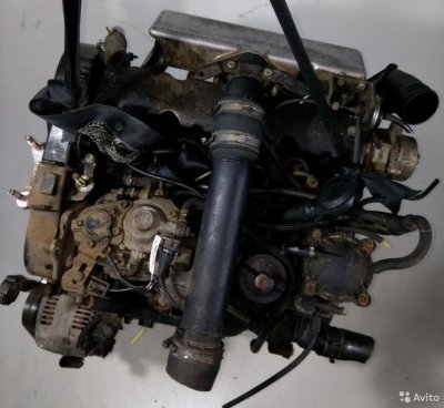 Двс (Двигатель) D8B Peugeot Expert 1998 1.9